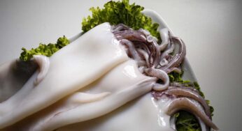 Lascia perdere il forno: bastano 10 minuti e una padella per rendere i calamari sfiziosi e tenerissimi, a prova di bimbi