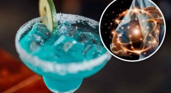 La nuova frontiera del food è la neurogastronomia: come si abbinano piatti e drink